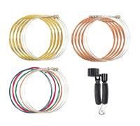 Cordes de guitare acoustique avec enrouleur de cordes 3 en 1 Outil d'entretien pour un remplacement facile et un accordage facile Fleur Bear Cast Anniversary Cast