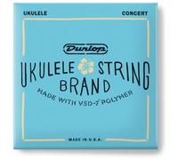 Cordes Folk Ukulélé Jeux Ukulélé Concert