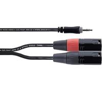 Cordial Adaptateur Y EY 3 WMM XLR - 1x jack mâle 3,5 mm, 2x XLR mâle 3 pôles