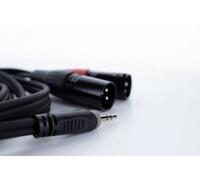 Cordial EY 1 WMM XLR Adaptateur Y [1x Jack mâle 3.5 mm - 2x XLR mâle 3 pôles]