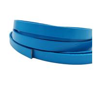 Cordon Cuir Bande Plate en Cuir de Vache véritable 10 mm x 2, Bande 1 cm Large for la Fabrication Bracelets et d'artisanat d'art Cordons en Cuir pour Bracelet Collier(Sky Blue)