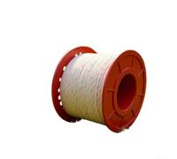 Cordon de démarrage de moteur haute résistance de 100 m pour tondeuse à gazon, tronçonneuse et débroussailleuse avec maintien supérieur des nœuds et résistance à l'usure au fil du temps (4 mm x 100