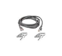 cordon de raccordement - 4.2 m - gris