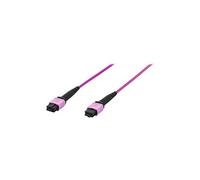 - Cordon de raccordement - MPO multimode (F) pour MPO multimode (F) - 5 m - fibre optique - simplex - 50 / 125 microns - OM4 - sans halogène - violet