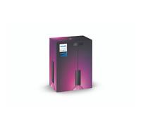 Cordon de suspension Philips Hue E27 1,5 m Support métal Câble tissu Mat Noir