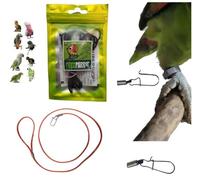 Cordon élastique A1 3 mm x 1 mètre avec mousqueton 1 mm à insérer à l'anneau de la patte de votre paquet, pour le porter en tour, emballage patte, gaine pp