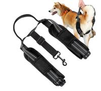 Cordon en coton réfléchissant pour chien - Sangle de soutien réglable avec poignée solide - Relief au niveau des hanches et du dos pour animaux âgés et handicapés - Confort léger pour les promenades