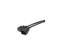 Cordon secteur C20 - C19 noir 2 m