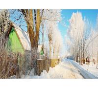 CORFOTO 1.5x1.2m Route de Campagne enneigée, Village, Maisons Traditionnelles en Bois, Paysage Hivernal, Photographie de Paysage, photomaton pour Photos de Portraits et fêtes.