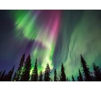 CORFOTO 1.5x1.2m Un Magnifique Fond d'aurores boréales aux Couleurs chatoyantes, Parfait pour la Photographie d'aurores boréales en forêt hivernale et idéal pour Les décorations de fêtes de Noël