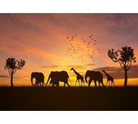 CORFOTO 1.5x1m Toile de Fond de la Famille d'éléphants d'Afrique, arrière-Plan de Photographie de Coucher de Soleil Africain, Animaux Sauvages, Paysage de Savane Africaine, décor de fête de Safari