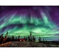 CORFOTO 2.1x1.5m Toile de Fond Aurora Light Violet et Bleu Forêt Aurores Boréales Toiles de Fond Forêt de pins Aurores Boréales Art Mural Fond Décoration d'intérieur Photo Booth Studio Accessoires