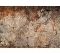 CORFOTO 2.1x1.5m Toile de Fond de Texture de Vieille Pierre Fond de Mur de Pierre Fond de Mur de Ciment Grunge Toile de Fond de Mur de Grotte d'archéologie Décorations de fête Séance Photo