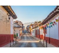 CORFOTO 2.5x1.8m Toile de Fond représentant Une Ville Coloniale Mexicaine, avec des Pots de Fleurs colorés, Un Motif de Rue et d'Amérique Latine. Accessoire pour photomaton.