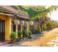 CORFOTO 2.7x1.8m Décor de Rue à Hoi an, Vietnam, Fleurs printanières, Ambiance Urbaine, décorations pour Le Nouvel an vietnamien, Accessoires de Studio Photo de Voyage et de Portrait