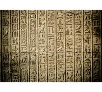 CORFOTO 2.7x1.8m Égypte Temple Hiéroglyphes Toile de Fond Égypte Murale Arrière-Plan Cours d'histoire Photographie Arrière-Plan Égypte Thème Fête Décoration Photomaton