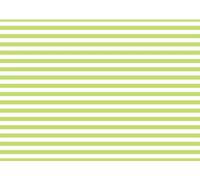 CORFOTO 2.7x1.8m Tissu Motif Rayé Horizontal Vert Citron Clair et Blanc Texture Simple sans Couture Arrière-Plan Photo Minimaliste pour Séance Fête Portrait Quotidien