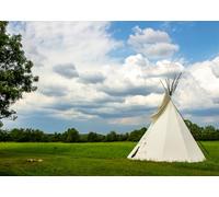 CORFOTO 2.7x1.8m Toile de Fond Photo tipi Indien Green Meadows, décor Rustique pour Photographie de Nature, Camping, événements, fêtes, Portraits, Accessoires pour photomaton