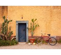 CORFOTO 3.5x2.5m Porte de Village rétro Mur Jaune Vieux vélo Scène extérieure Photographie Fond Porte Sicilienne Classique Photo Toile de Fond Portrait Photo Studio Accessoires