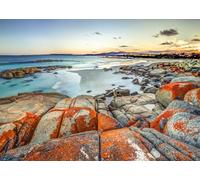 CORFOTO 3x2.5m La Baie des Feux Jardins Réserve Photo Toile de Fond Plage de Sable Blanc Australie Côte Est Nature Paysage Photographie Arrière-Plan Voyage Vacances Portrait Photomaton