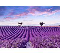 CORFOTO 3x2,5m Tissu Champ de lavande Fond Sunset France Provence Photo Blue Sky Lavander Landscape Fond photographique Wedding Photo Lover Mother's Day Birthday Party Banner Accessoires de studio