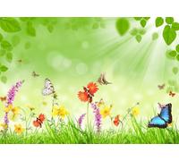 CORFOTO 3x2.5m Toile de Fond de Prairie printanière Toile de Fond de Fleur de Jardin printanier Herbe Verte Papillon Pays des Merveilles Fleurons d'herbe Arrière-Plan de Photographie Décor de fête