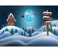 CORFOTO 3x2m Père Noël et Rennes en traîneau Vue Nocturne Toile de Fond Nuit enneigée Ciel étoilé Photographie Fond Décoration de fête de Noël Enfants Portrait Photomaton