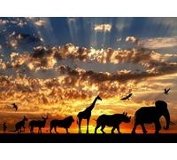 CORFOTO 3x2m Toile de Fond d'animaux africains, Grande Migration d'animaux africains, arrière-Plan de Photographie de Coucher de Soleil, Accessoires de Stand Photo de Safari Africain