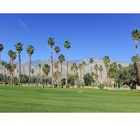 CORFOTO 4.5x2.5m Toile de Fond pour Parcours de Golf de Palm Springs Motif d'herbe Verte luxuriante, de Palmiers et de Vue sur Les Montagnes Thème de Station balnéaire Tropicale Photomatons