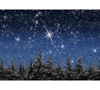 CORFOTO 6x3m Fond Photographique d'un Ciel étoilé d'hiver avec Galaxie, sapins de Noël et Flocons de Neige, décorations pour fêtes de Noël et du Nouvel an, et Cabine Photo pour Portraits.