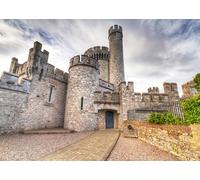 CORFOTO 7x5ft Blackrock Château Toile de Fond Vieux Château Observatoire Photographie Fond Château Médiéval Toile de Fond Irlande Landmark Building Castle Photo Fond