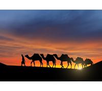 CORFOTO Tissu 2.5x1.8m Fond Caravane de Chameaux Désert Silhouette Coucher de Soleil Sahara Train de Chameaux Arrière-Plan Photographique pour Fête Aventure Voyage Accessoires Photo