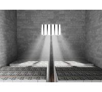 CORFOTO Tissu 3x2m Fond Cellule de Prison Argent Cellule avec Tas d'argent Sécurité Entreprise Arrière-Plan Photographique pour Fête à Théme Accessoires Photo