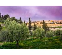 CORFOTO Tissu 5.2x3m Fond Mont des Olives Jérusalem Dôme du Rocher Arrière-Plan Photographique pour Décorations de Fête sur Thème Religieux Accessoires de Séance Photo Voyage