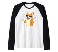 Corgi 67 Meme Lunettes de Soleil Humoristiques pour Amoureux des Chiens Manche Raglan