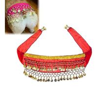 Corgi Costume pour chien avec chaîne de taille pour chien, rideau de danse du ventre avec paillettes, écharpe de danse du ventre avec paillettes pour chiot passionné qui secoue la hanche (orange)