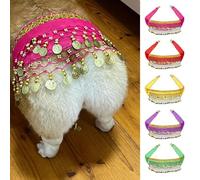 Corgi Costume pour chien, écharpe de danse du ventre pour chien, jupe de danseuse du ventre pour chien, jupe de danse du ventre avec paillettes passionnées qui secouent la danse de la hanche, cadeau