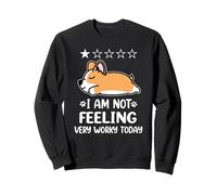 Corgi Dog Sleep I Am Not Feeling Funny Puppy Dogs Lovers Sweatshirt
