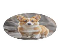 Corgi Dogs Tapis de bain doux et absorbant antidérapant pour porte d'entrée et arrière 90 x 90 cm pour chambre à coucher, salon, décoration d'intérieur