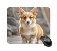 Corgi Dogs Tapis de souris carré portable avec base en caoutchouc antidérapant 25 x 30 cm Tapis de souris ultra fin pour ordinateur portable Accessoires de bureau