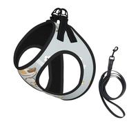 Corgi Mignon,Harnais pour Animaux de Compagnie, Harnais réfléchissant réglable pour Chien,L