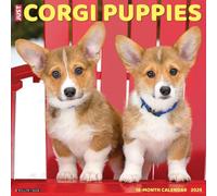 Corgi Puppies 2026 12 X 12 Wall Calendar