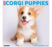 Corgi Puppies 2027 Wall