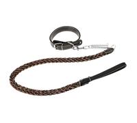 CORHAD 1ensemble Laisse pour Chien avec Collier Amovible Traction Douce Et Légère Idéale pour Promenades avec Animaux De Toutes