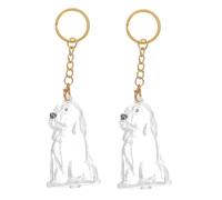 CORHAD 2 Pièces Boîte de Rangement Poils de Chien Transparente Porte-clés Mémoire Animale Solide et Léger Collecteur de Poils pour Souvenir de Chiot Accessoire Voyage Facile à Nettoyer