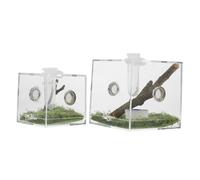 CORHAD 2 pièces Boîte Élevage Araignée Transparente Acrylique Habitat Pratique pour Reptiles et Insectes Résistante et Légère Lot pour Observer Vos Animaux Facilement