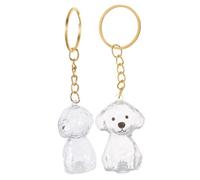 CORHAD 2 pièces Porte-clés Souvenir Poils Animaux Chien Transparent Boîte Commémorative Compacte et Légère Accessoire Pratique pour Mémoire Sentimentale et Usage Quotidien