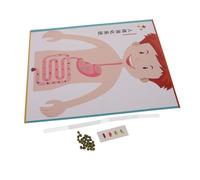 CORHAD 4 Ensembles Kit Modélisme Digestif pour Garçon Fille Modèle DIY Système Digestif Humain Jeu Éducatif Science Stem pour École et Apprentissage Précoce Fournitures Créatives pour