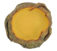 CORHAD Bassin d'eau pour Animaux de Compagnie Mangeoire pour Reptiles Matériau Solide pour Boire en Toute Sécurité des Lézards