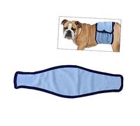 CORHAD Culotte Menstruelle pour Chien Couches Lavables pour Chiennes sous-vêtements Physiologiques Protection Hygiénique pour Chiot